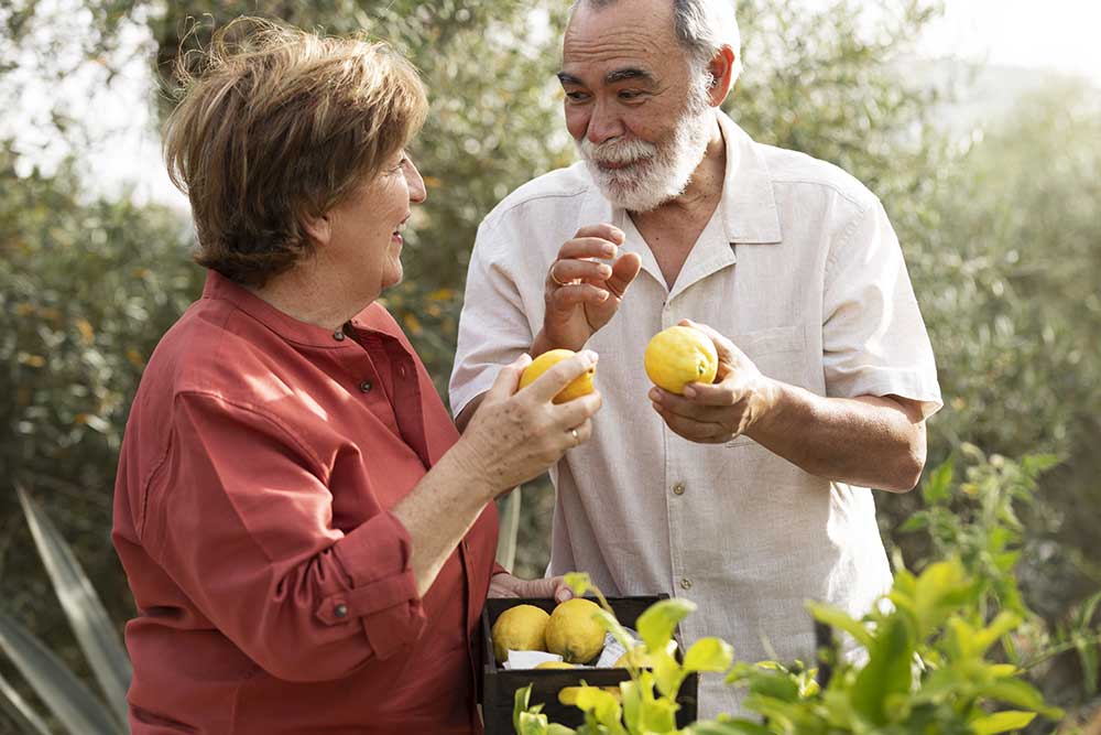 میوه های مفید برای سالمندان
