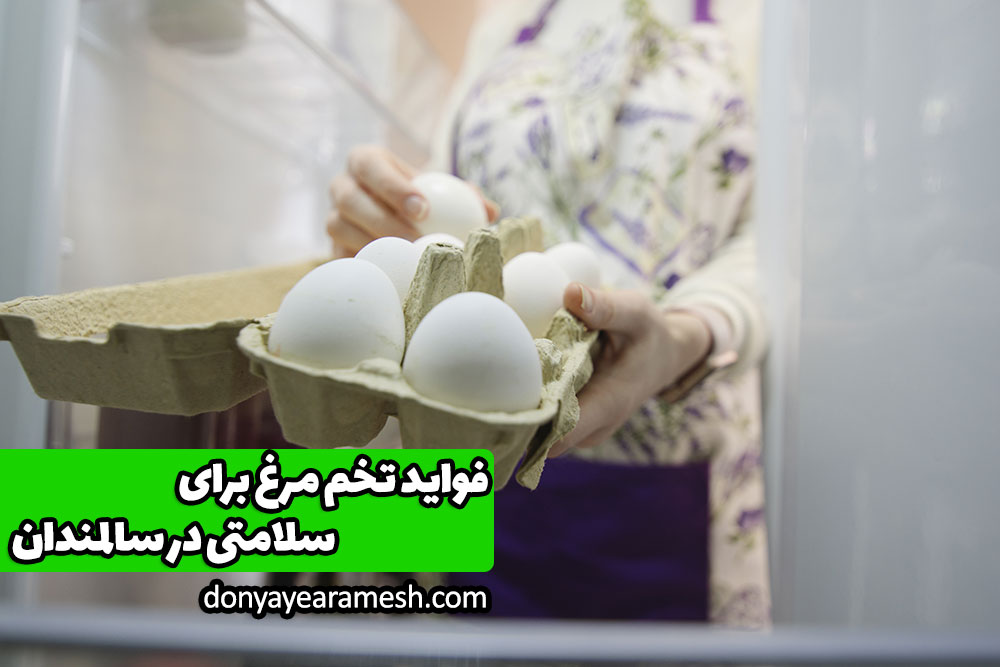بنر مقاله فواید تخم مرغ برای سلامتی در سالمندان