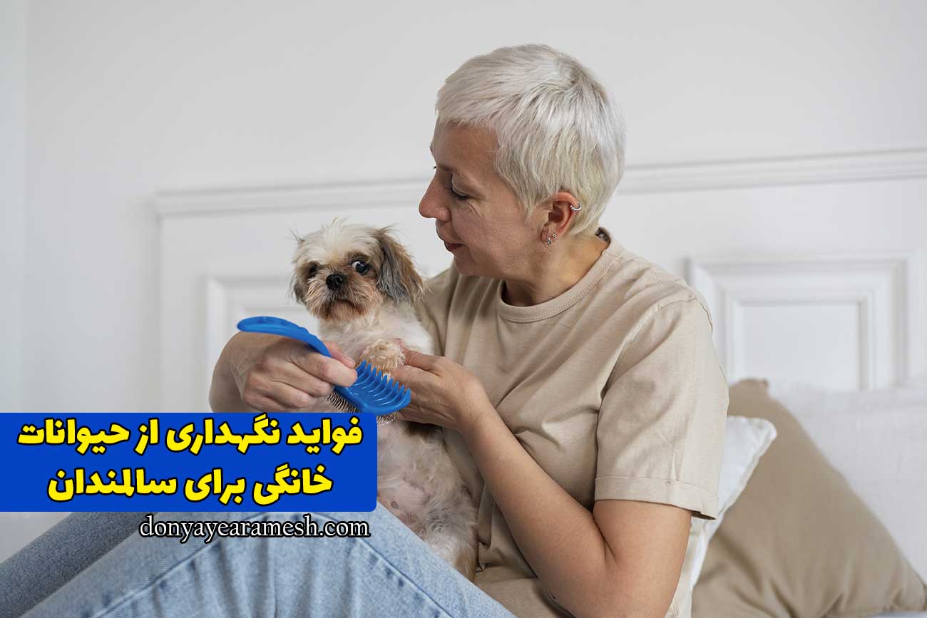 فواید نگهداری از حیوانات خانگی برای سالمندان